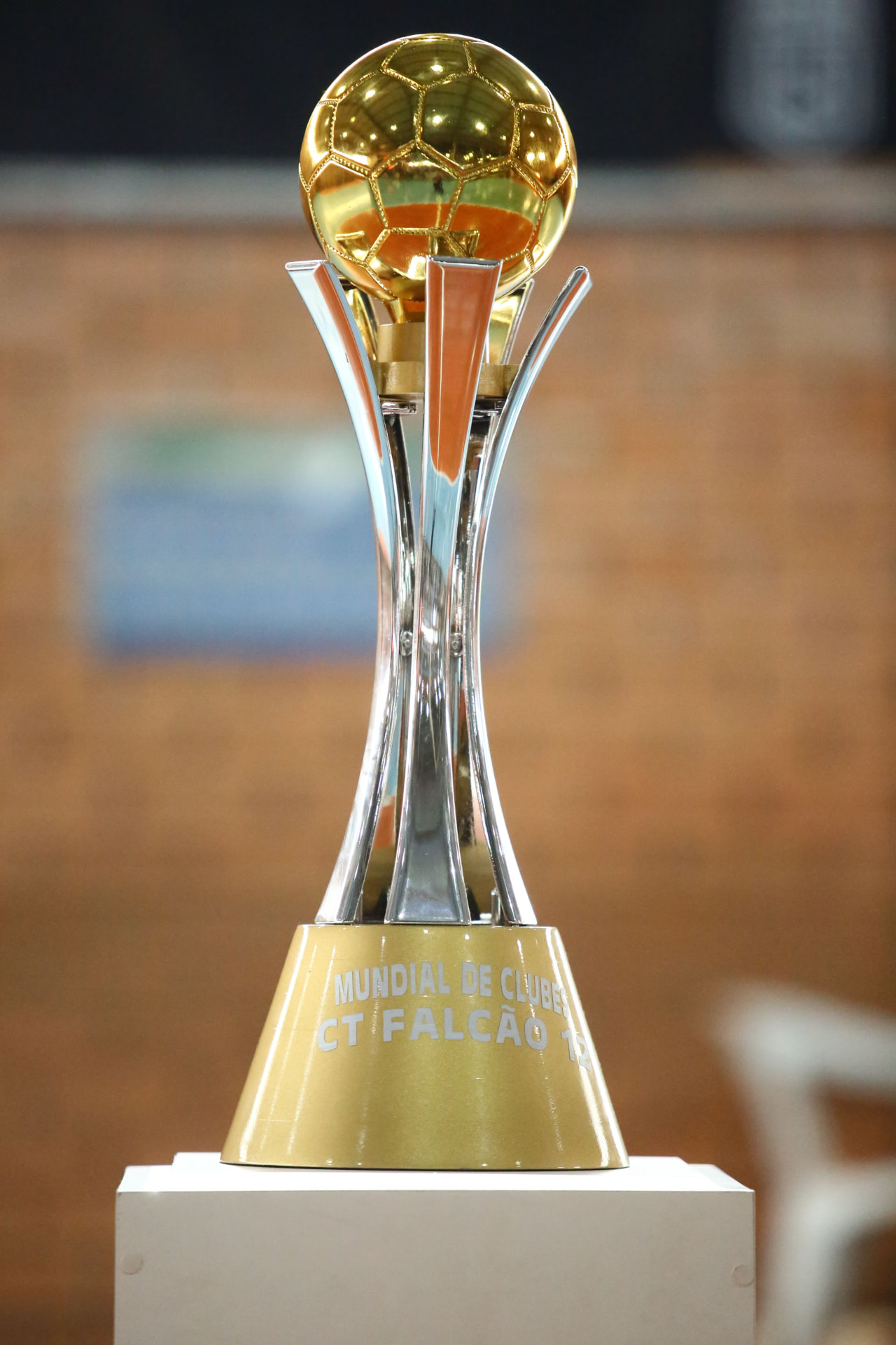 Imagem de capa da Mundial de Clubes Falcão 12