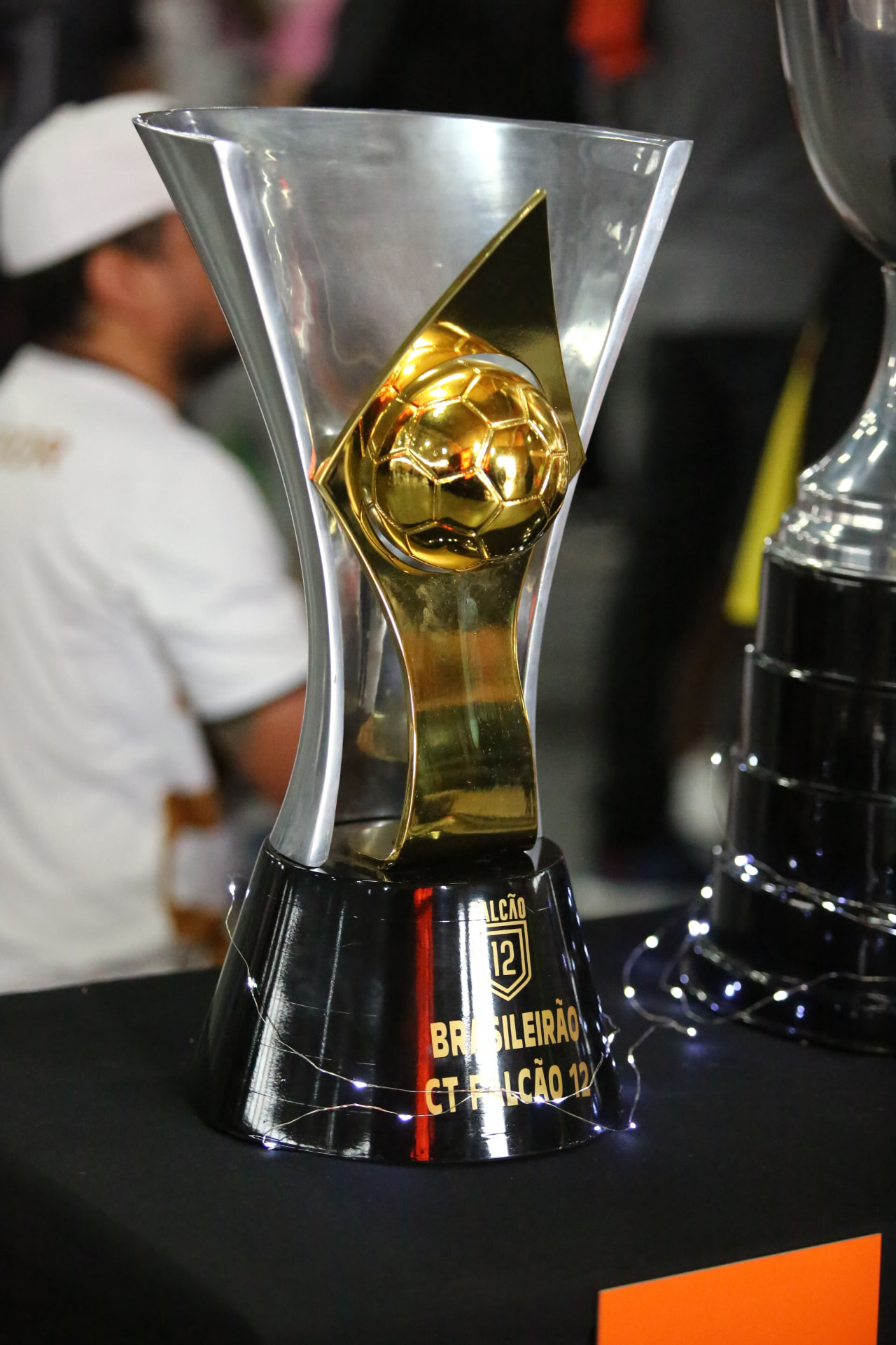Imagem de capa da Brasileirão Falcão 12